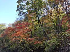 -本溪老边沟风景区