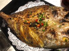 -九府羊·鲜羊火锅·烤串(新华路店)