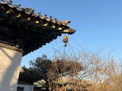 -迎泽公园