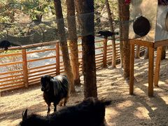 -汕头蓝水星欢乐世界