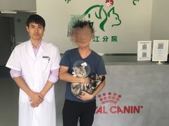 -美美宠物诊疗中心·异宠·骨科(滨江东信分院)