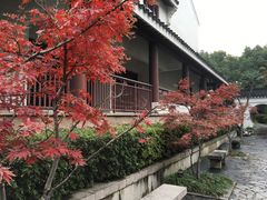 -苏州吴宫泛太平洋酒店