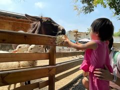 -HERRE·FARM 赫尔露营农场·团建聚会包场