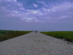 -南汇嘴观海公园