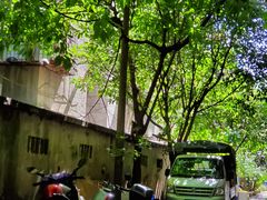 -煲煲掂风味煲仔饭餐厅(西区店)