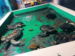 -常州海昌海洋探索馆