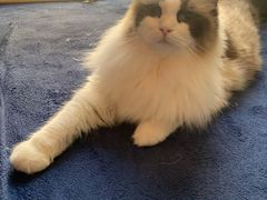 -零纪元VR体验馆·桌游(黄浦店)