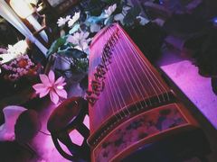 -韵秋荷(宝山龙湖天街店)