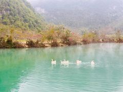 -靖西鹅泉风景区