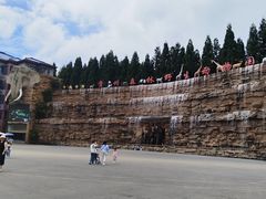 -贵州森林野生动物园