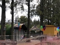 -前小桔亲子创意农场·草莓采摘·露营烧烤