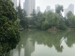 -西苑公园