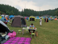 -武陵山森林公园