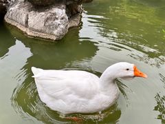 -祝家花園(伯渎港店)