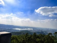 -水濂山森林公园