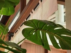 -沼津港精致料理·寿喜烧·烧鸟(漕河泾印象城店)