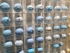 -KKV(东莞海德汇一城店)