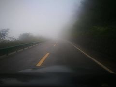 -武陵山森林公园