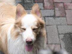 -豆舞咖啡(民乐路店)