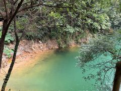 -广州市流溪河国家森林公园
