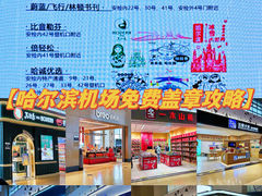 -哈尔滨太平国际机场-T2航站楼