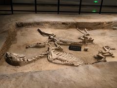 -洛阳周王城天子驾六博物馆