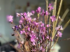 -曦辰书院·书法篆刻