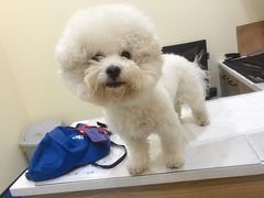 -萌兽医馆·犬猫专科·眼科中心·宠物医院(朝阳门分院)