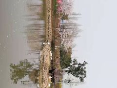 -田园东方蜜桃村的田野营地