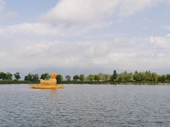 -野鸭湖国家湿地公园