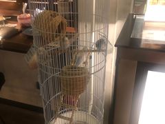 -ChitChat奇洽·Bistro(黎黄陂路店)