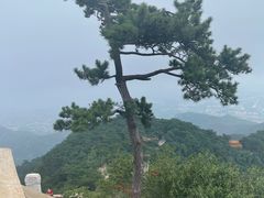 -天津盘山风景名胜区