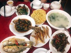 -蛇口康乐快餐鱼仔档(翠苑小区店)