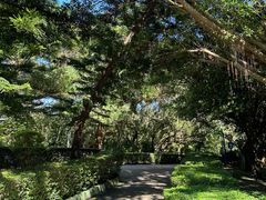 -广东惠东海龟国家级自然保护区