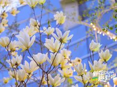 -昆山招商花园城