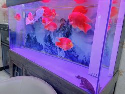 点击看大图 -安院长·产后恢复·徒手骨盆(先天下店)