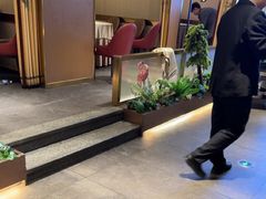 -宏宴·新京菜(望京店)