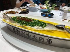 -龙吟九品(青龙山庄店)