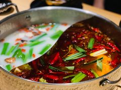 牛骨锅底-锦和牛·炭火烧肉(ICC太和里店)