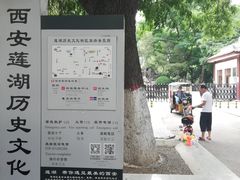 -莲湖公园