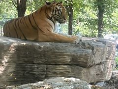 -秦皇岛野生动物园
