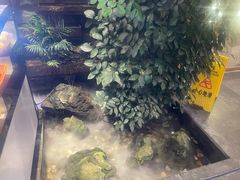 -老凯俚酸汤鱼(东山店)