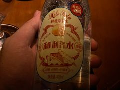 -武汉知音号
