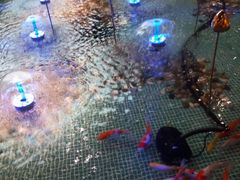 -水晶之星洗浴温泉汗蒸