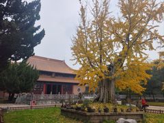 -苏州文庙(姑苏区)