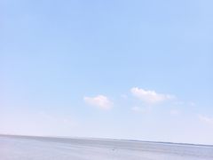 -观潮胜地公园