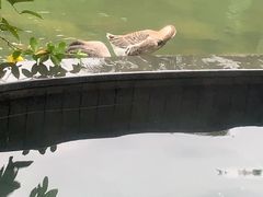 -水底山庄园温泉