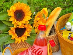 -白鹭湾湿地公园