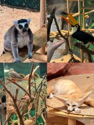 -Zoolung Zoolung动物主题公园(海信广场店)