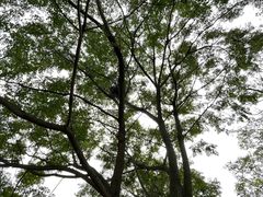 -盘龙城国家考古遗址公园